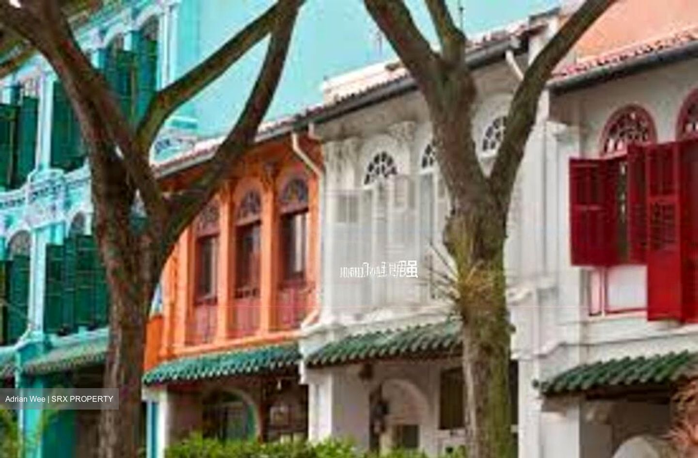 Chinatown Complex (D1), Shop House #452392061